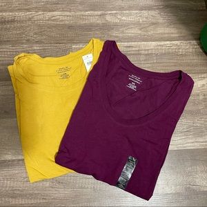 Banana Republic Factory short sleeve timeless tees